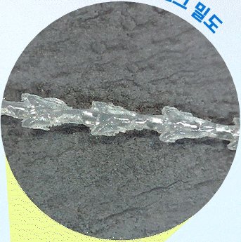 라포엘 BI(PCL) 코그 확대